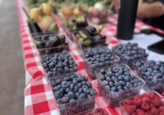 Gladstone Berry Farm at the Market